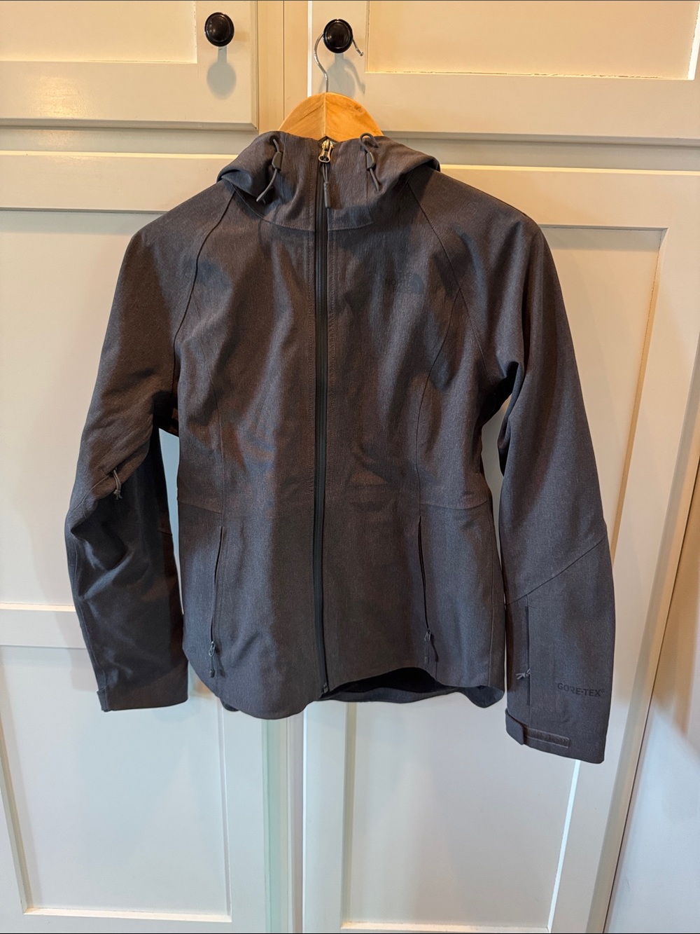 The North Face Women's Dark Gray Hooded Gore-Tex Jacket